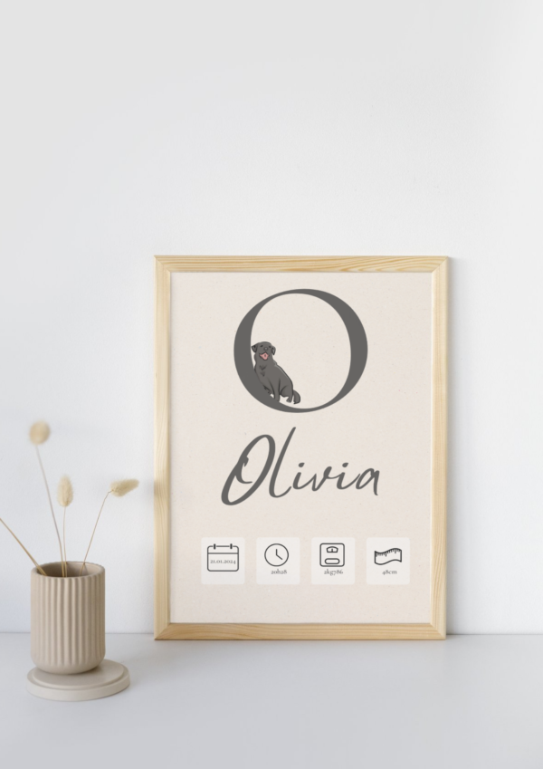 Affiche Naissance Lettre et Animal